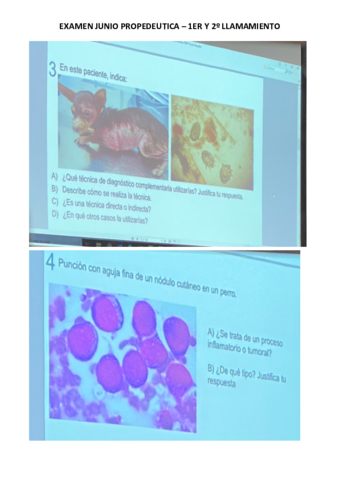 PREGUNTAS-PROPE-JUNIO.pdf