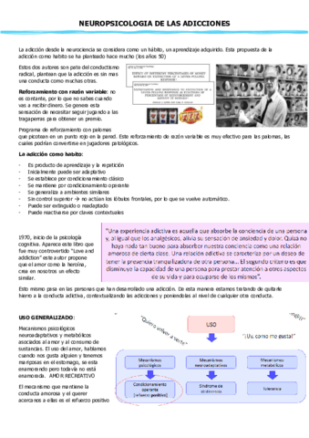 T5-NEUROPSICOLOGIA-DE-LAS-ADICCIONES.pdf