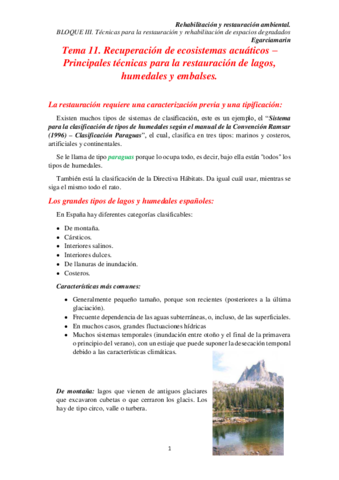Tema 11 rra.pdf
