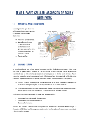 fisio-vegetal-1.pdf