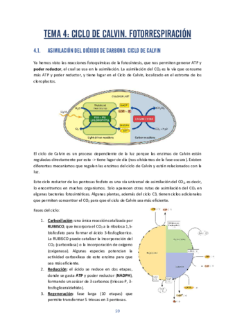 fisio-vegetal-4.pdf