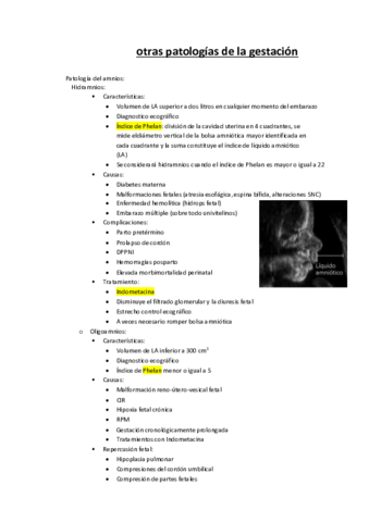 otras-patologias-de-la-gestacion.pdf