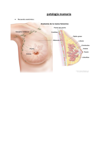 patologia-mamaria.pdf