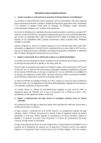 PREGUNTAS-LARGAS-SEGUNDO-PARCIAL.pdf