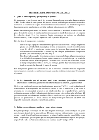 PREGUNTASLARGAS.pdf