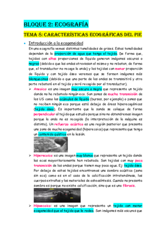 BLOQUE-2-ECOGRAFIA.pdf