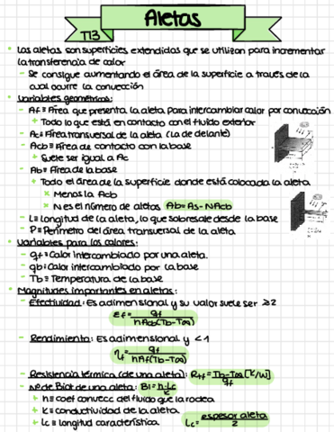 T13-Aletas.pdf