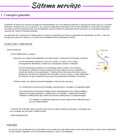 Tema-2-Sistema-nervioso.pdf