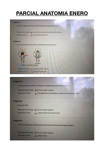 PARCIAL-ANATOMIA-ENERO-.pdf