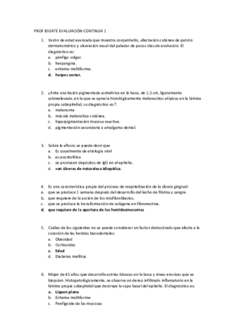 PROF-IDOATE-EVALUACION-CONTINUA-1.pdf