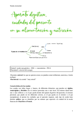 AP.pdf