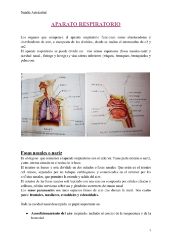 Aparato-respiratorio.pdf