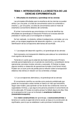 RESUMEN TEMA 1.pdf