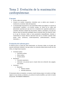 TEMA 2.pdf