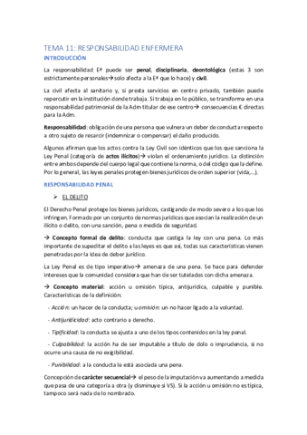TEMA-11-RESPONSABILIDAD-ENFERMERIA.pdf