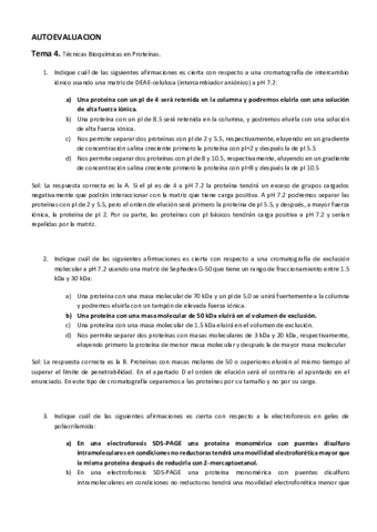 Autoevaliacion-T4-bq.pdf