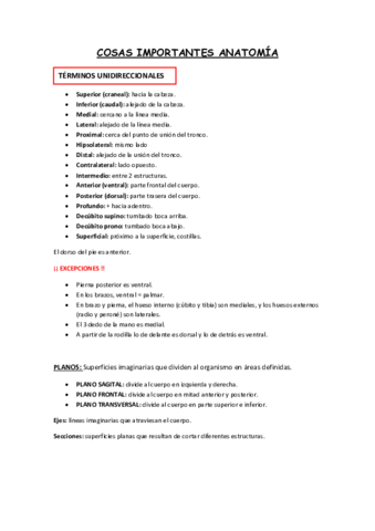 COSAS-IMPORTANTES-ANATOMIA.pdf