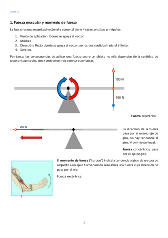 Tema-2-Funcion-neuromusculaf.pdf