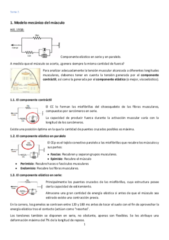 Tema-7-Biomecanica-muscular.pdf