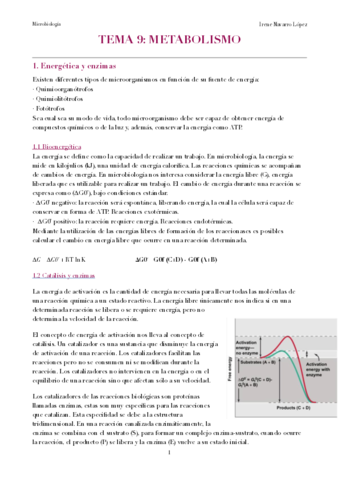TEMA-9-.pdf