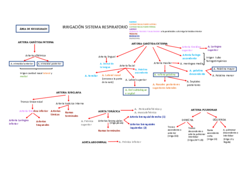 irrigacion-y-drenaje-sist-respi.pdf
