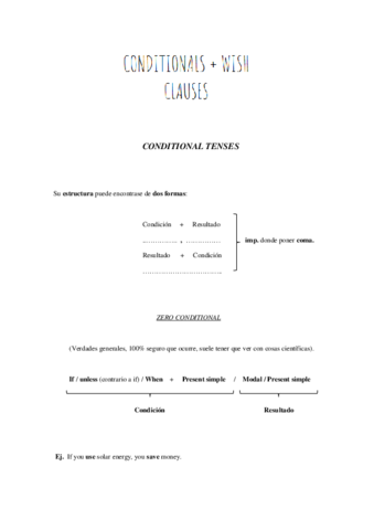 CONDICINAL-y-WISH.pdf