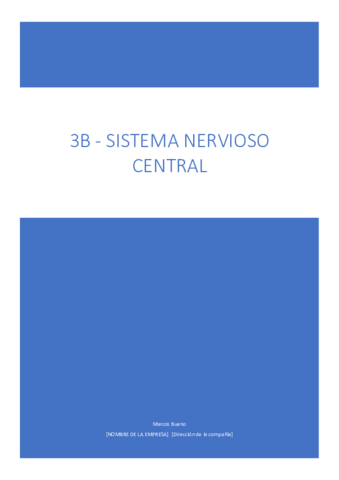 TEMA-3B-SNC.pdf