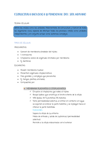 tema-1.pdf
