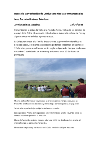 2o-Informe-LA-REINA.pdf
