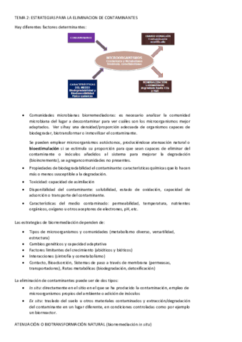 TEMAS-2.pdf