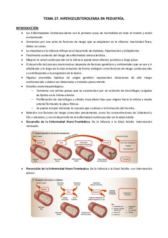 Tema 27.pdf