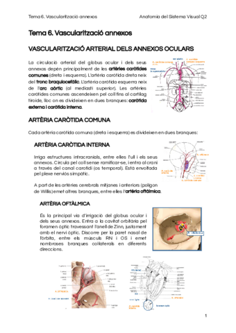 Tema-6.pdf