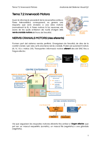 Tema-7.pdf