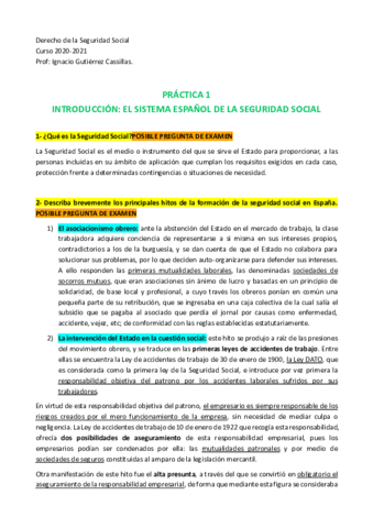 Practicas-Seguridad-Social-Prof.pdf