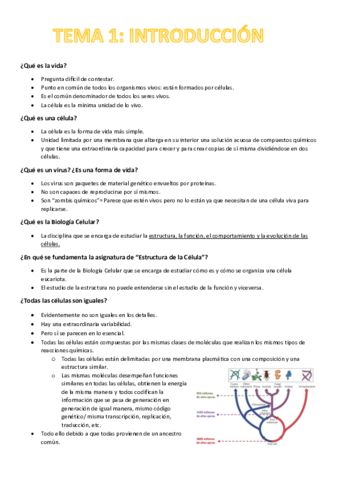 TEMA-1-Estructura.pdf
