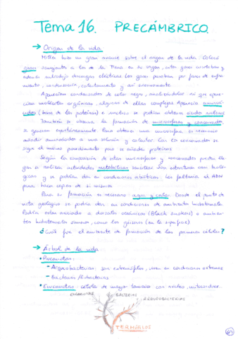 Tema 16 Precámbrico.pdf