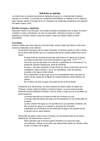 Tema 11 - Nutrición en plantas.pdf