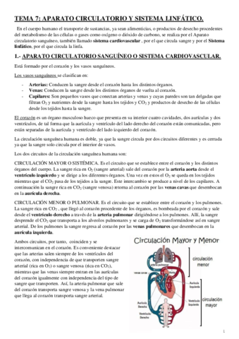 Sistema-circulatorio-y-linfatico.pdf