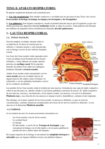 Aparato-respiratorio.pdf