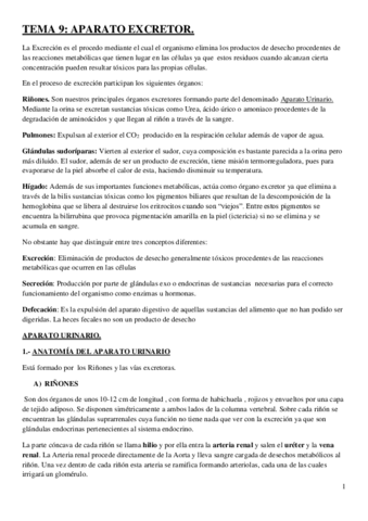Aparato-excretor.pdf