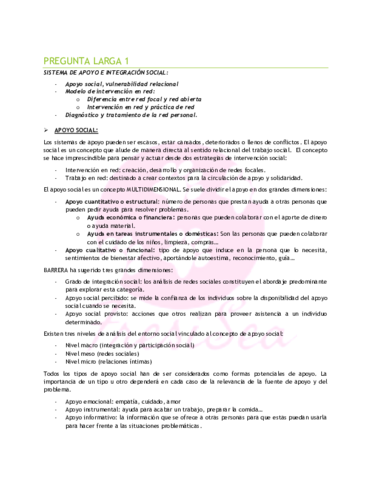 PREGUNTA LARGA 1.pdf