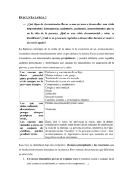 PREGUNTA LARGA 2.pdf