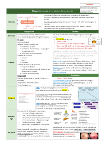 Endocrino-y-metabolismo.pdf