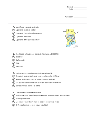 Preguntas-segundo-parcial-locomotor.pdf