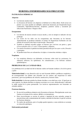 HURONES-ENFERMEDADES-MAS-FRECUENTES.pdf