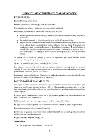 HURONES-MANTENIMIENTO-Y-ALIMENTACION.pdf