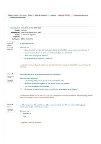 Cuestionario-Practicas.pdf