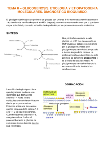 TEMA 8 –GLUCOGENOSIS. ETIOLOGÍA Y ETIOPATOGENIA MOLECULARES. DIAGNÓSTICO BIOQUÍMICO.pdf