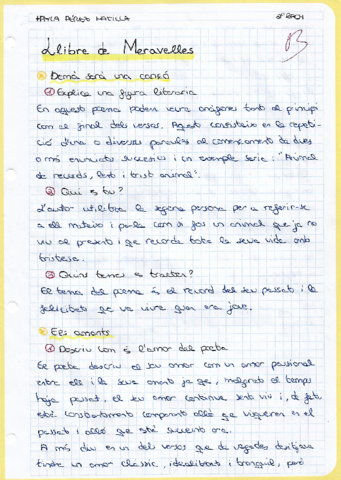 Llibre-de-meravelles-Tematica.pdf