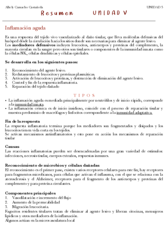 RESUMEN-5.pdf